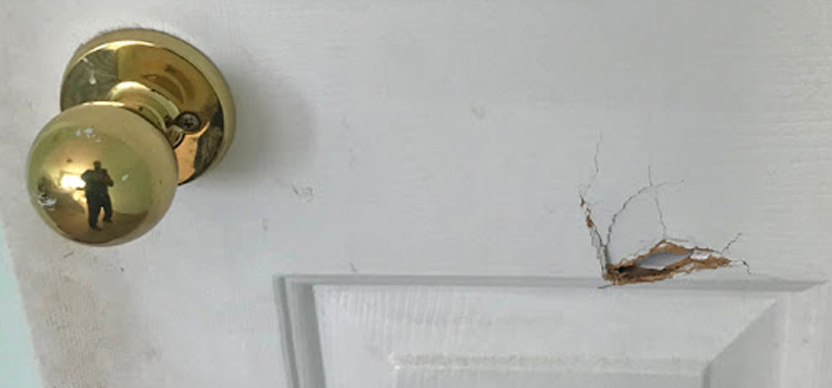 interior door hole repair Ione
